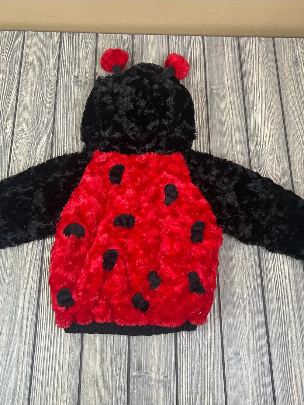 Lady Bug Baby Costume 24m